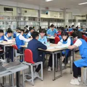 杨凌职业技术学院的学生在校期间可以获得什么样的奖助学金支持体系？