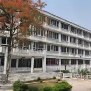 江西新能源科枝职业学院是什么样的大学？