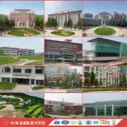 黑龙江农业经济职业学院的专业有哪些？