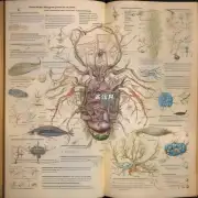 高中生物表是一本介绍生物学基础概念和理论的书籍吗？