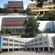 什么是深圳科迪职业学校的历史？