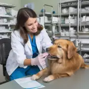 全国职业兽医师考试有哪些科目或部分？