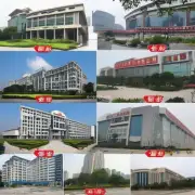 哪些是广东省内排名前五的专业机构？