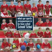 在你的学校中有哪些体育运动项目？