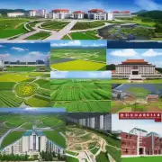 黑龙江农业经济职业学院开设哪些专业的课程设置是怎样的呢？