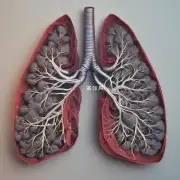 肺是什么?