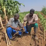 您认为职业农民在开展农村电商方面的培训需求有哪些?