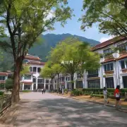 云南旅游职业学院高职招生的录取政策是什么?