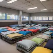 樊大伟同学你是否有听说过你们学校的学生公寓是否有提供床垫或枕头之类的用品给住校的学生们呢?