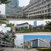 重庆市商务职业学院有哪些课程?