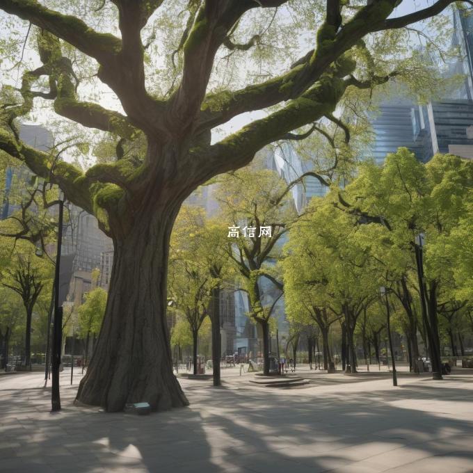 你认为政府应该采取什么措施来保护城市公园的树木呢?