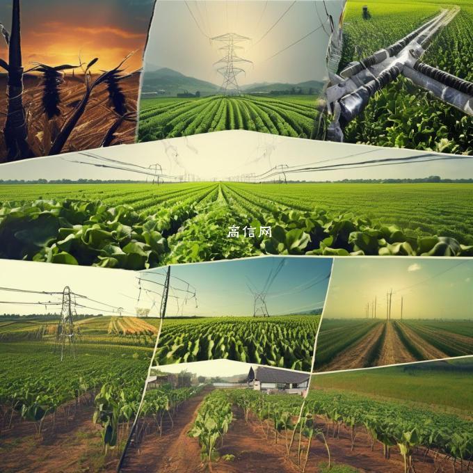 您了解哪些农产品在农村电商上有销售优势和市场潜力?
